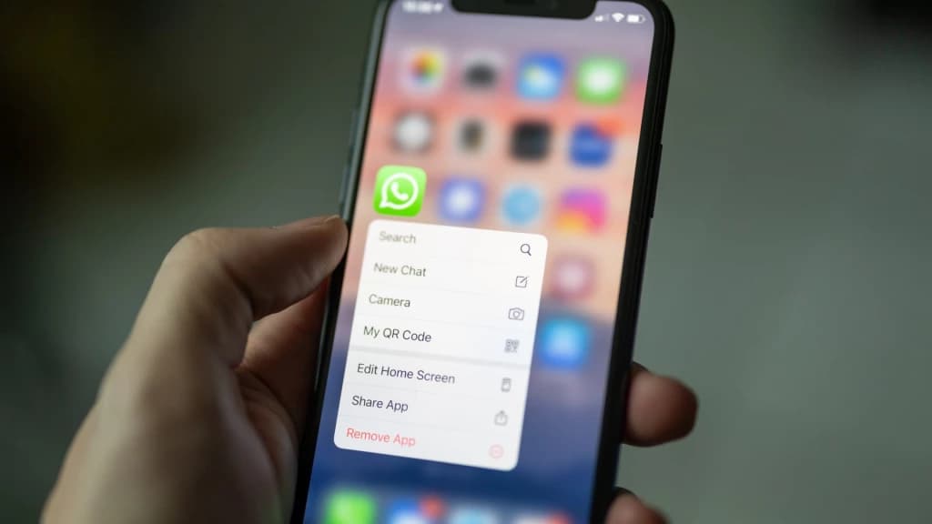 Vereador de SC manda foto do pênis em grupo com adolescentes no WhatsApp