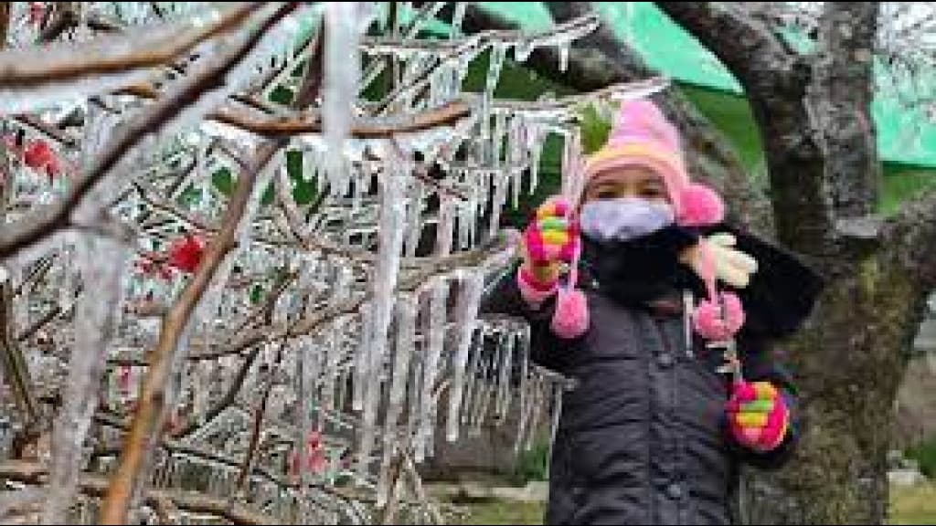 Alerta de Frio: Santa Catarina enfrenta fim de semana com baixas temperaturas e geada