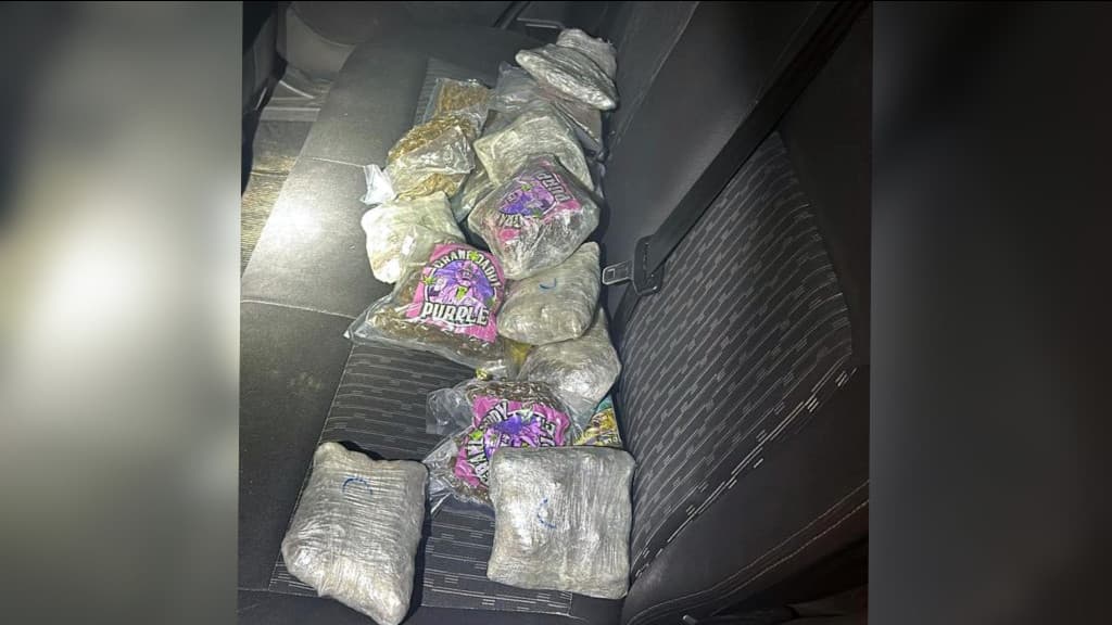PRF encontra “supermaconha” dentro de carro na BR-101, em Porto Belo