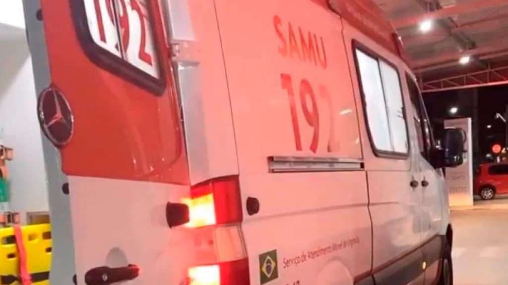 Briga de família em Tijucas termina com mordidas de cachorro