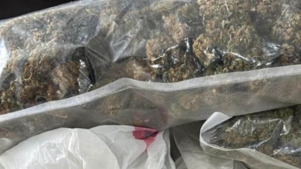 “Supermaconha gourmet” é apreendida em Florianópolis