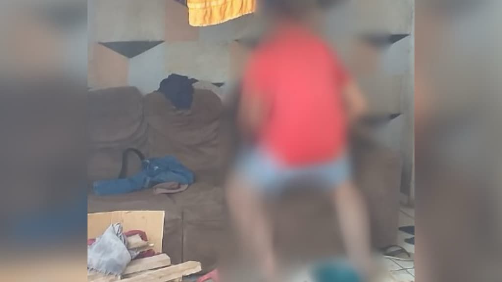Idoso é indiciado após abusar sexualmente de cadela no Oeste de Santa Catarina