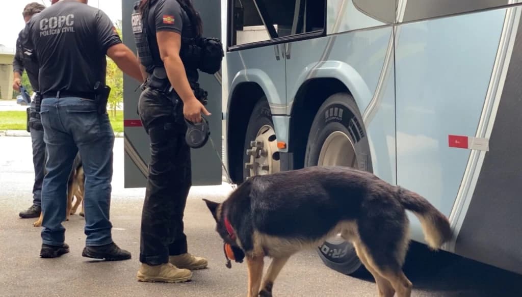 Políci Civil apreende drogas e prende duas pessoas em flagrante na rodoviária da Capital
