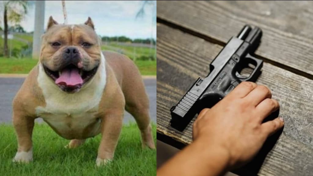 Discussão motivada por pitbull termina com pai e filho baleados