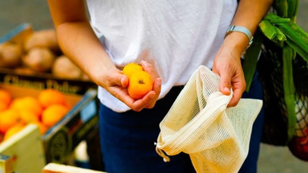 Bombinhas convoca expositores para feira de sustentabilidade