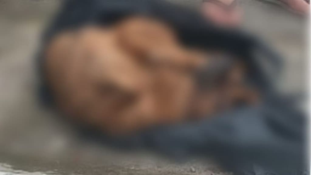 Homem tenta matar cão do amigo a pauladas pra “economizar” na eutanásia