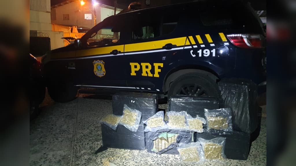 “Mula de carga” é presa levando 135 kg de maconha e skunk para Balneário Camboriú