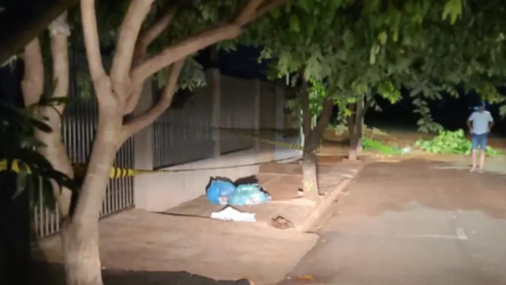 Cachorros encontram recém-nascido morto e com pé amputado no lixo do Paraná
