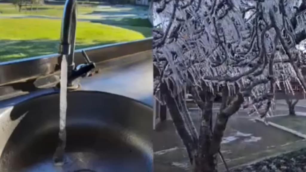 Frio extremo: previsão indica -10°C após SC registrar as menores temperaturas do ano