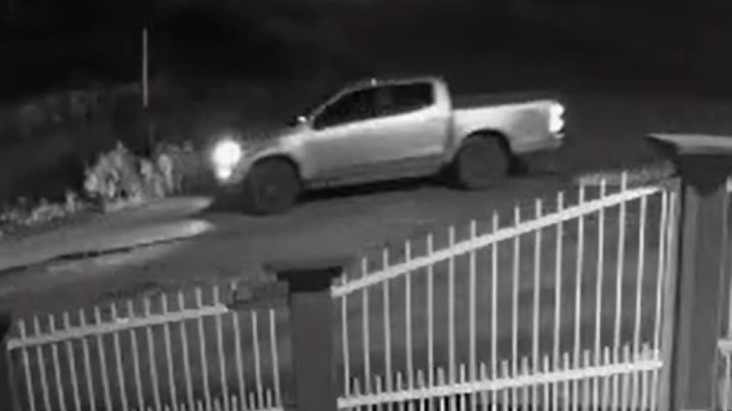 VÍDEO: Câmeras de segurança flagram abandono de cadela e filhotes