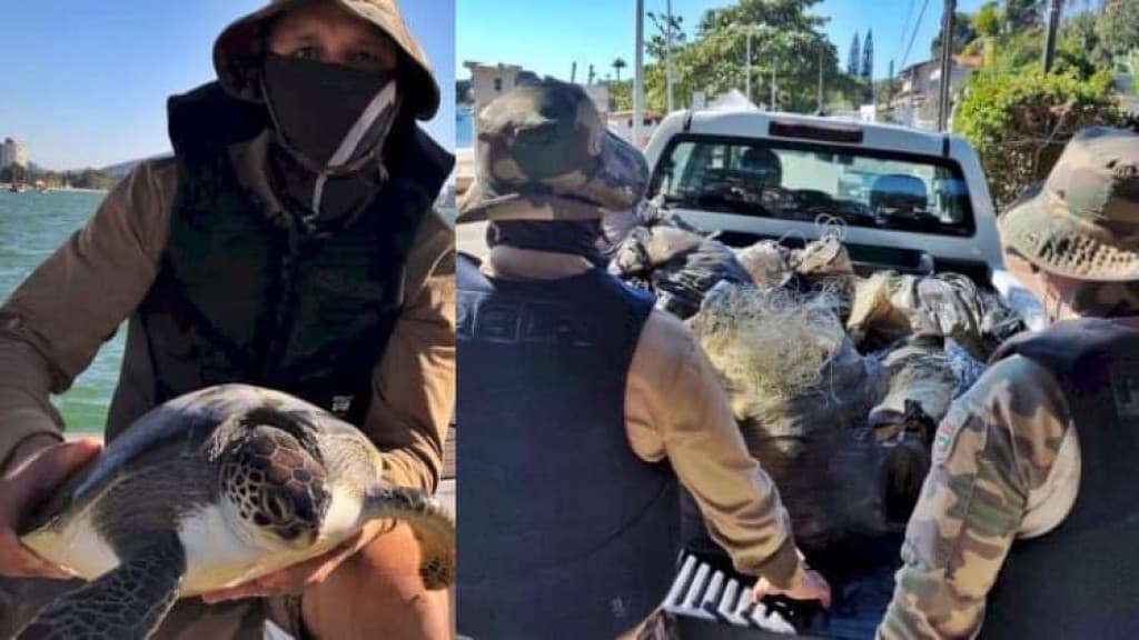 PMA apreende redes de pesca ilegais e salva tartarugas no Litoral de SC