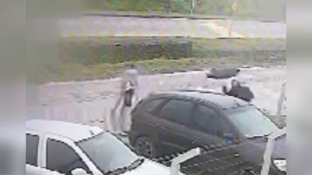 VÍDEO: Mulher salva criança de 8 anos atacada por cão de grande porte