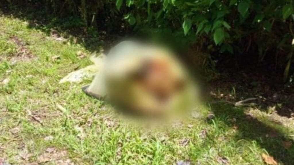 Cachorro é abandonado morto dentro de sacola plástica em frente a residência