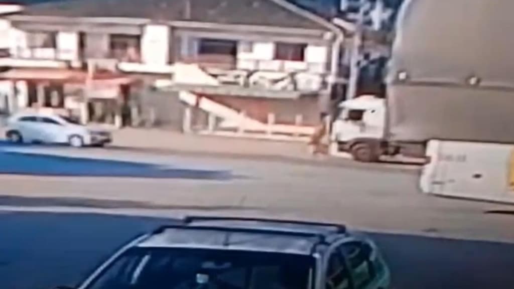 Idosa em bicicleta é arrastada por caminhão na BR-280