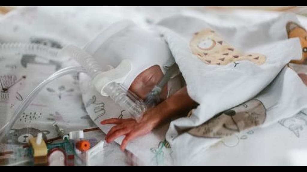 Mãe de sete filhos dá à luz quíntuplos