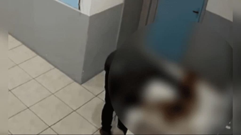 Servidor municipal é afastado por suposto abuso sexual contra cachorro em SC