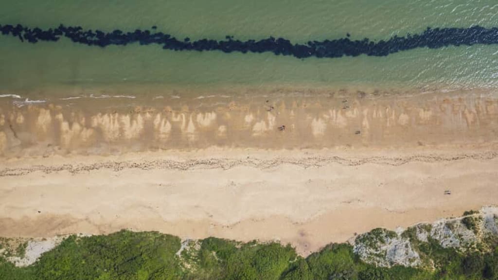 Construtora não é penalizada por supostos danos ambientais em praia catarinense, decide justiça