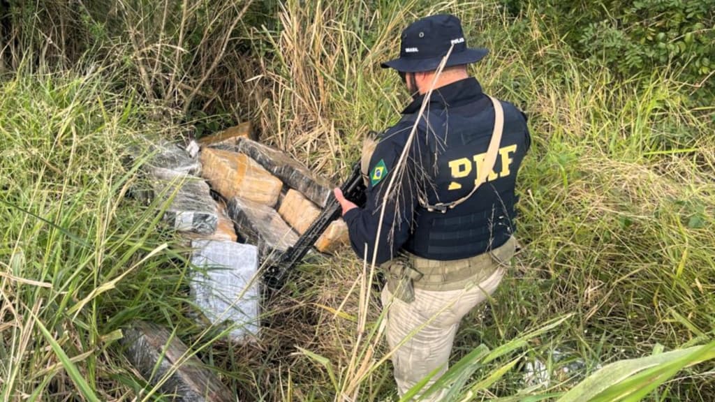 PRF localiza quase meia tonelada de maconha às margens da BR-282