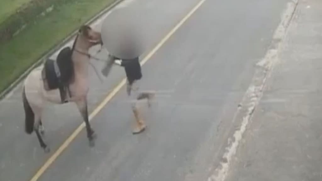 VÍDEO – Jovem se revolta por não conseguir controlar égua e agride o animal