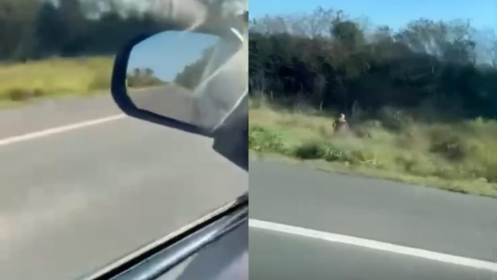 Homem é flagrado se masturbando em beira de estrada