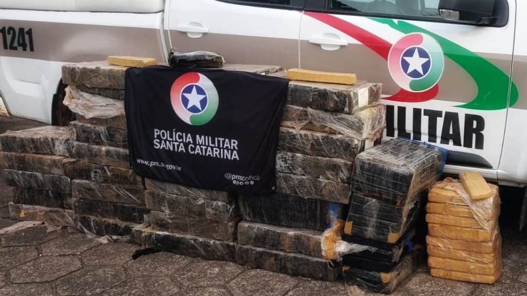 Polícia Militar de SC encontra mais de 500 kg de maconha em matagal na BR-158