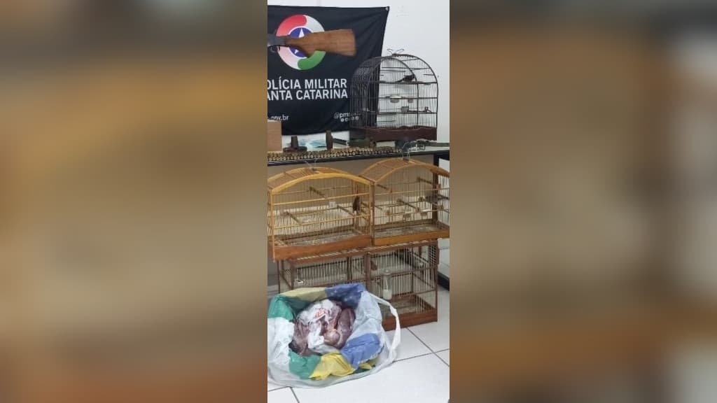 Denúncia de tiros em Blumenau leva à prisão de homem com espingardas e animais abatidos