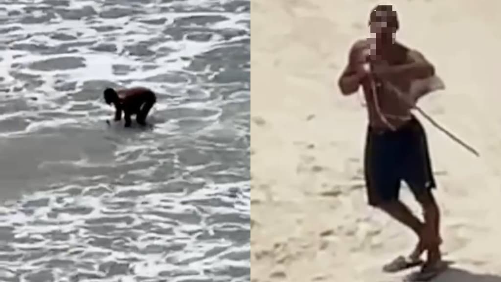 “Pode chamar a polícia”: homem mata raias com espeto em praia de Itapema