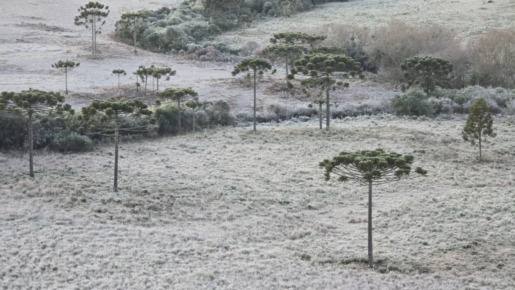 Frente fria traz chuva, temperaturas baixas e possível neve em Santa Catarina