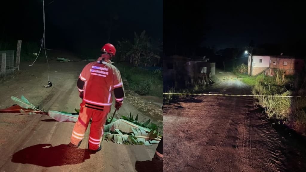 Cães são encontrados mortos eletrocutados em fios soltos após temporais em SC