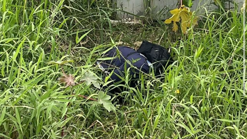 “Surpresa inesperada”: Funcionário sai para caminhar e encontra corpo em decomposição em Itajaí