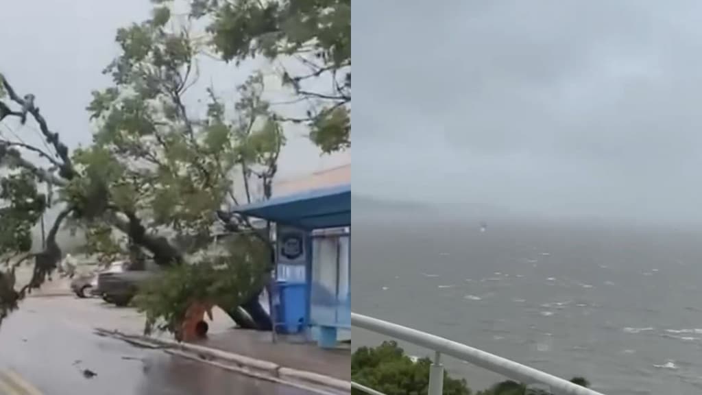 Vento de quase 70 km/h surpreende moradores e causa estragos em Florianópolis
