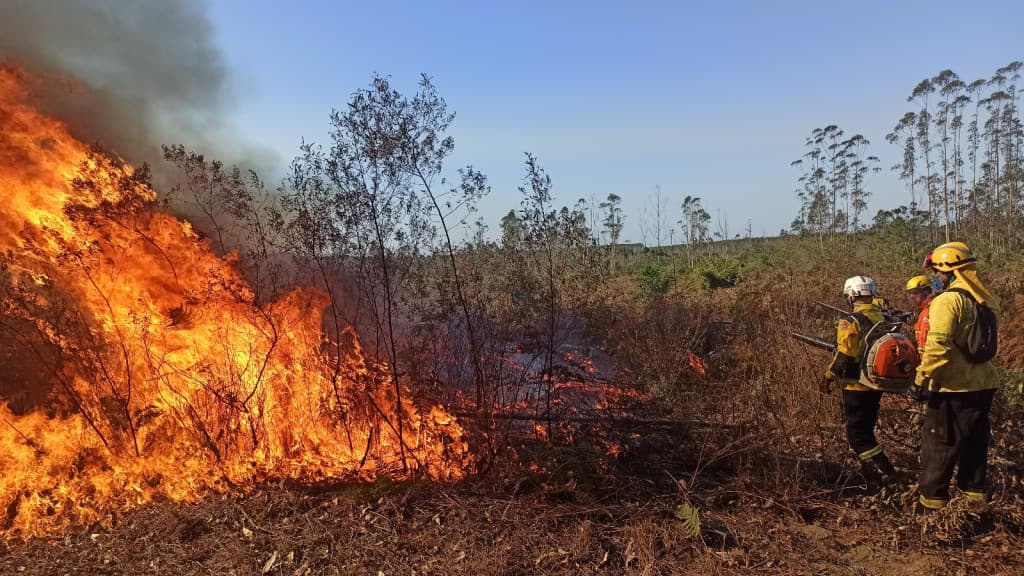 Santa Catarina mobiliza bombeiros para apoio ao Mato Grosso do Sul contra incêndio