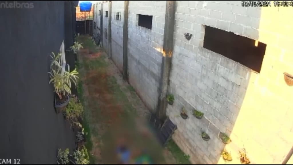 Criança invade “fazendinha” para pisotear, matar e esquartejar 23 coelhinhos, patos e galinhas