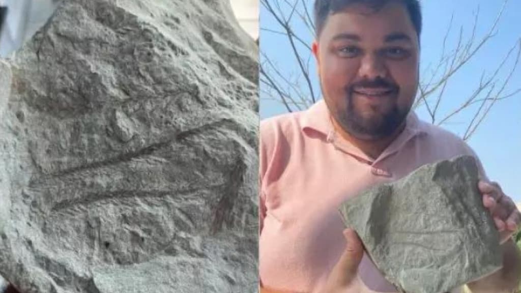 Peregrinos encontram fóssil de aproximadamente 270 milhões de anos em SC