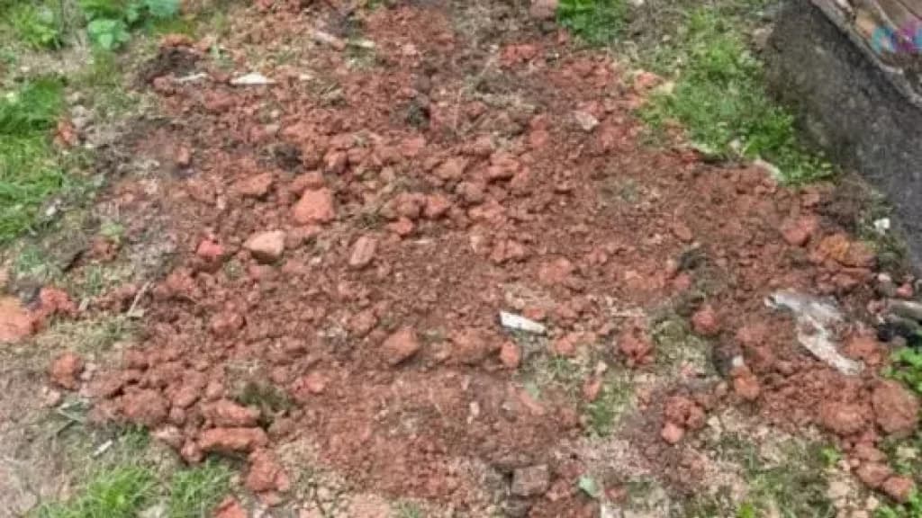 “Queria se livrar dele”: idosa é presa após abrir buraco e enterrar cachorro vivo