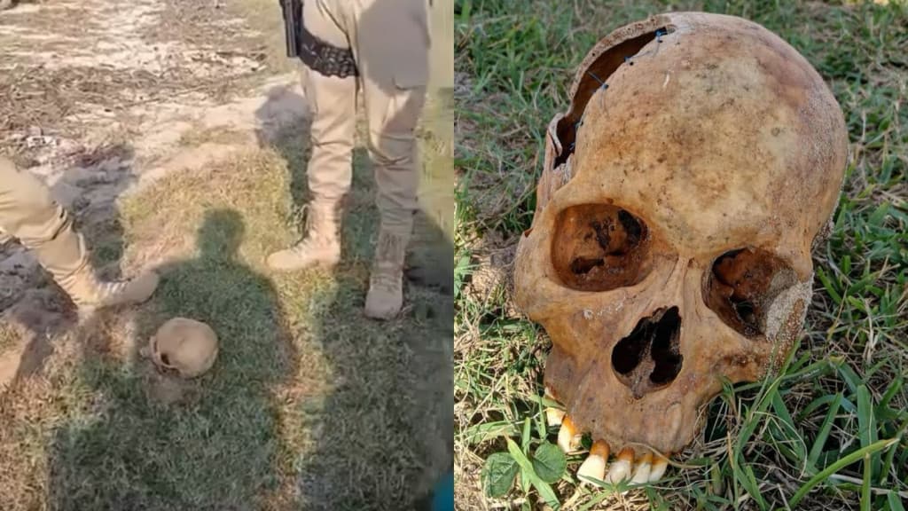 Crânio amarrado com “cordinhas” é encontrado por pescador em Tijucas