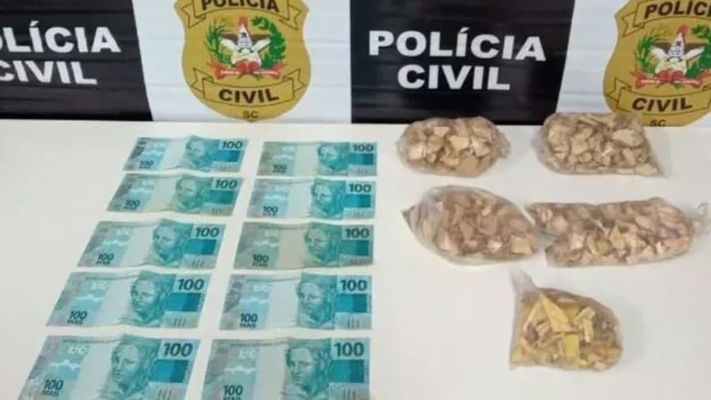 Dupla vende madeira como “chá milagroso” para idosos de SC
