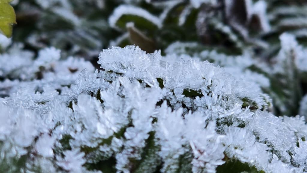 Santa Catarina enfrenta semana de frio recorde com possibilidade de neve