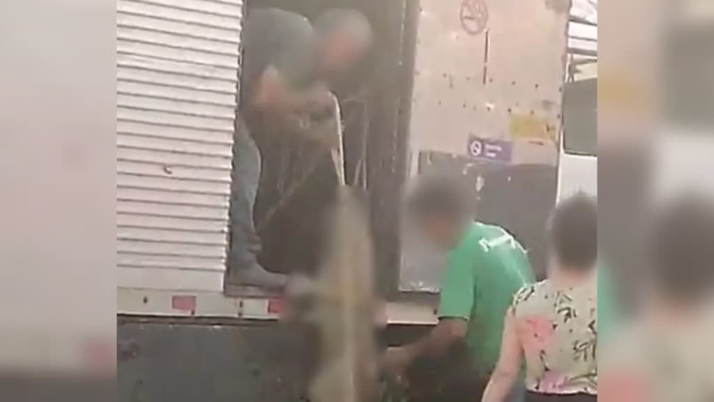 Dono de posto de combustíveis é denunciado por maus-tratos a cachorros de rua