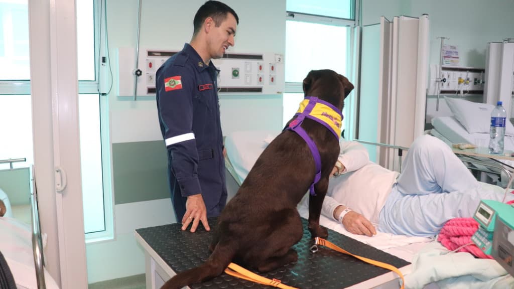 Plantão Quatro Patas: Encontro terapêutico traz esperança para pacientes de hospital