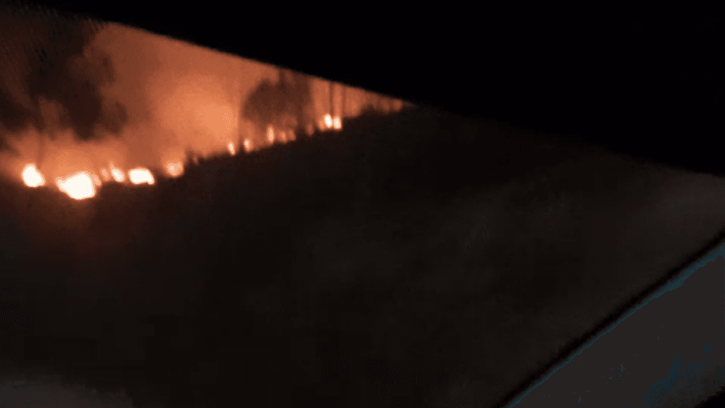 Incêndio de grandes proporções atinge área de vegetação em Tijucas