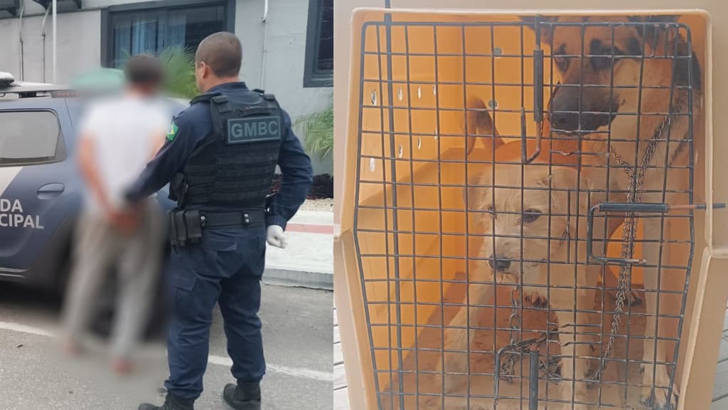 Vídeo flagra tutor violentando cães, e ele acaba detido em Balneário Camboriú