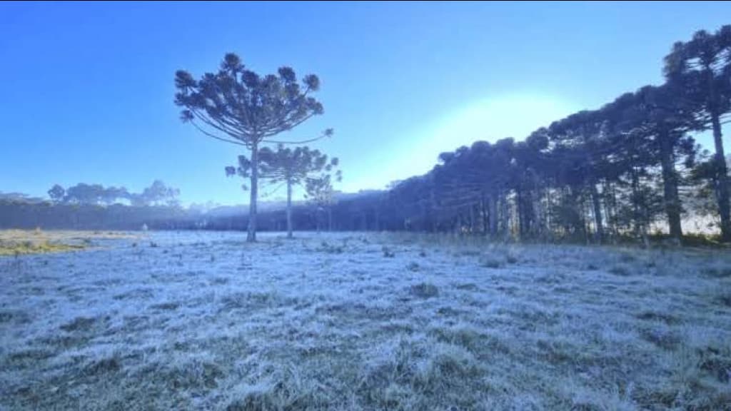 Santa Catarina registra temperaturas negativas com nova onda de frio