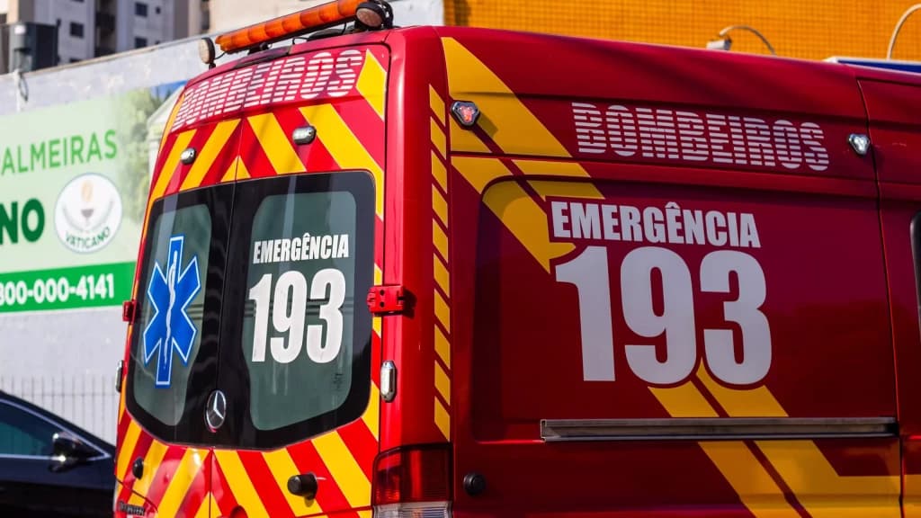 Idoso de 71 anos fica inconsciente após ataque de abelhas