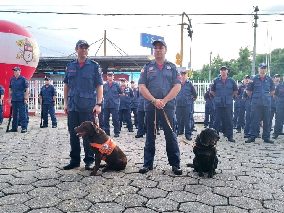 Cães resgatistas do Corpo de Bombeiros de SC encerram trajetória com medalhas e gratidão