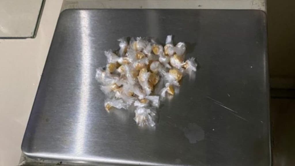 Adolescente é apreendida com 36 pedras de crack escondidas no sutiã em Joinville