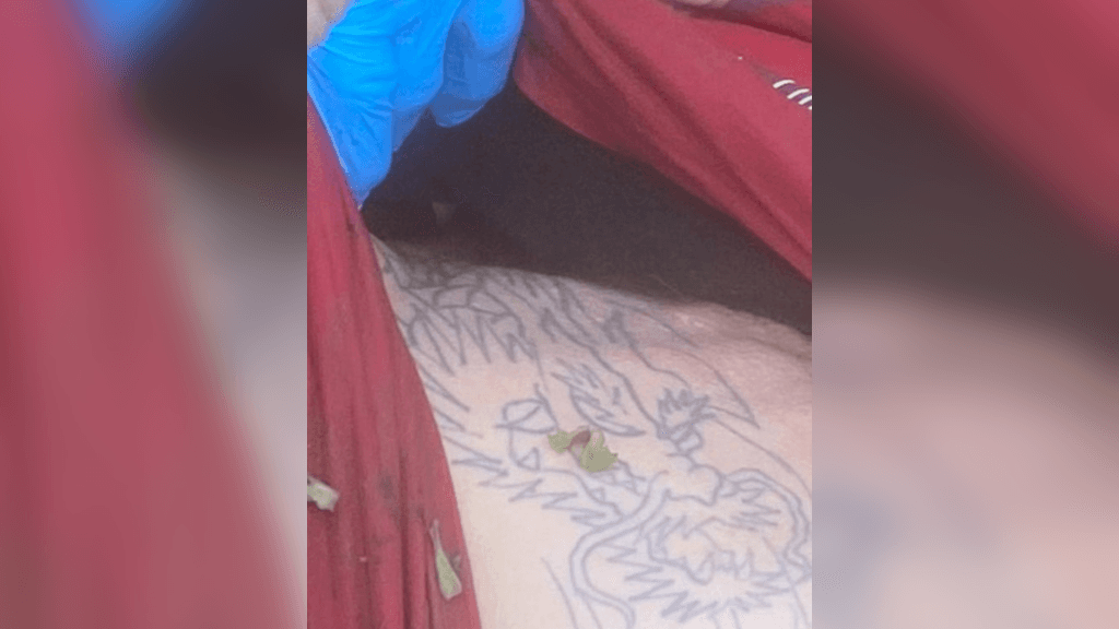 Acusado de furto foge nadando no rio e é encontrado morto em Itajaí