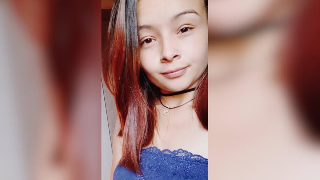 Mulher é morta a facadas pelo marido na frente dos filhos em SC