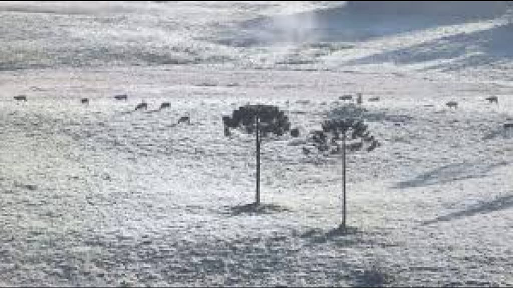Previsão de frio e neve para SC: Confira as prováveis regiões
