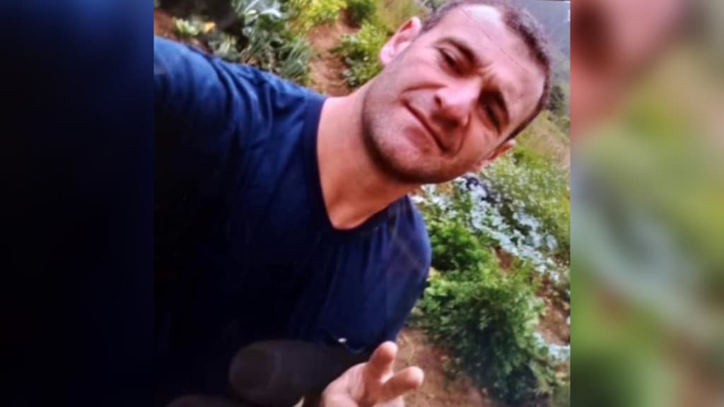 TRISTEZA: Morador de Tijucas morre durante corte de eucalipto